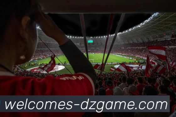 多媒体互动体验